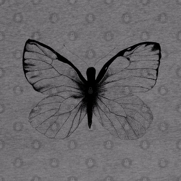 Moth by Divoc